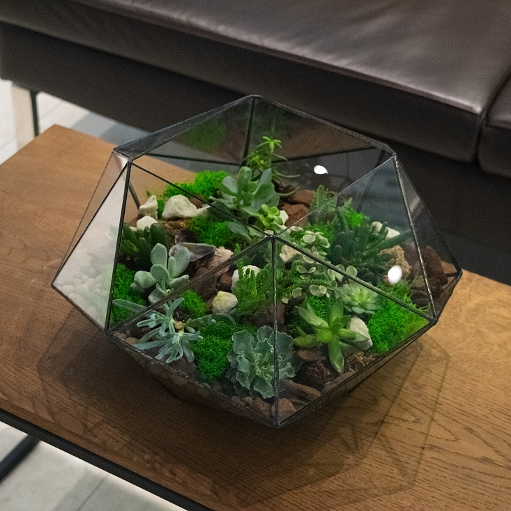 Флорариум с суккулентами