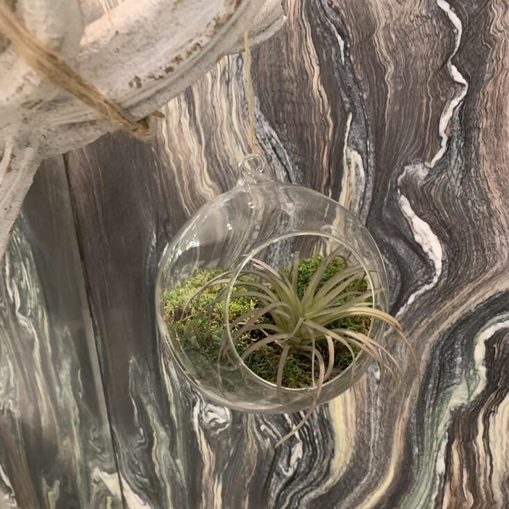 Флорариум для скандинавского интерьера