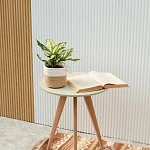 Аглаонема Ферст Даймонд d12/h30