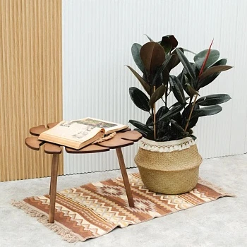 Фикус Эластика Абиджан d27/h105