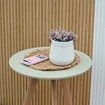 Каллизия Розато d12/h15