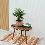 Аглаонема Даймонд Бей d15/h45