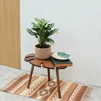 Аглаонема Даймонд Бей d15/h45