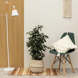 Фикус Бенджамина Даниэль d23/h105