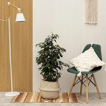 Фикус Бенджамина Даниэль d23/h105