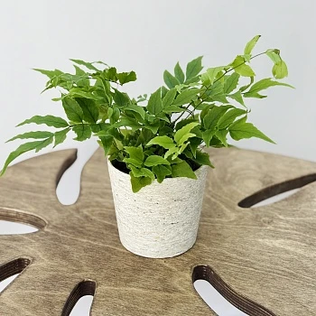 Циртониум d8,5/h15