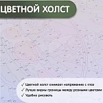 Панно по номерам Тропики
