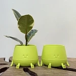 Кашпо Мистер Грин Фисташка  0,6л