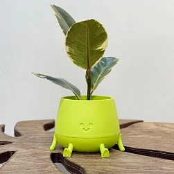 Кашпо Мистер Грин Фисташка  0,6л