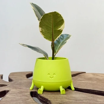 Кашпо Мистер Грин Фисташка  0,6л