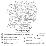 Екатерина Кузнецова "Растущие в темноте" раскраска-трекер
