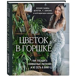 Ксения Занина "Цветок в горшке"