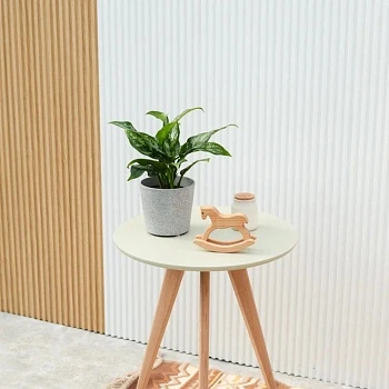 Аглаонема Мария d12/h25