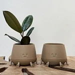 Кашпо Мистер Грин Пралине 0,6л