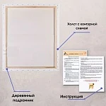 Картина по номерам Комнатные растения
