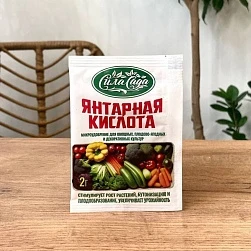 Янтарная Кислота 2г
