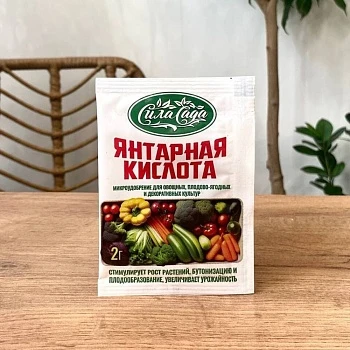 Янтарная Кислота 2г