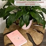Журнальный стол Монстера Loft, 60х50х40 см