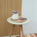 Каллизия Розато d12/h15