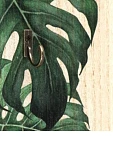 Ключницы Пальмовые листья 20*30*2,5 см d h