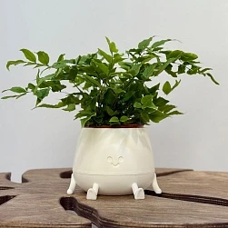 Кашпо Мистер Грин Белый 0,6л