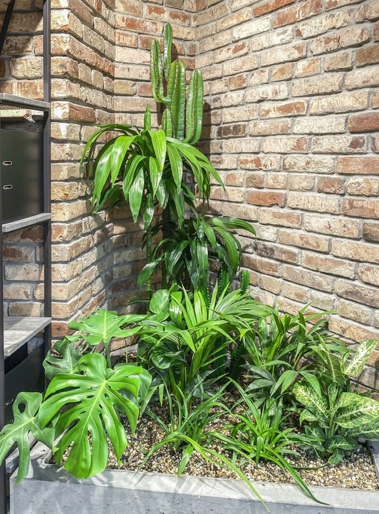 Растения для стиля лофт