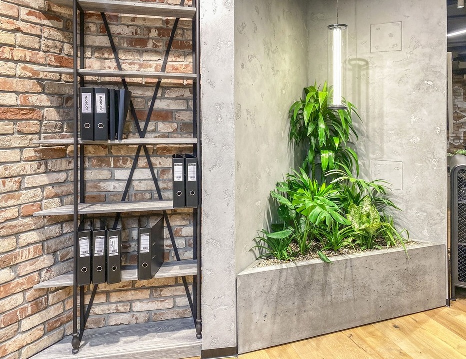 Домашние растения в интерьере лофт в бетонном кашпо